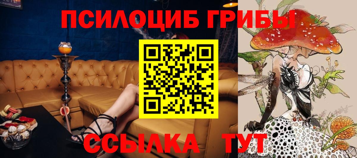 Псилоцибиновые грибы Psilocybe Кимовск